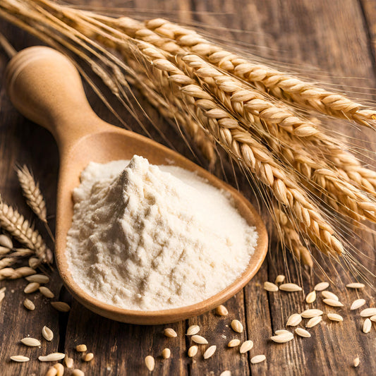 Vital Wheat Gluten (VWG)